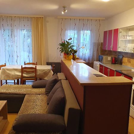 Apartments Sara Labin  Dış mekan fotoğraf