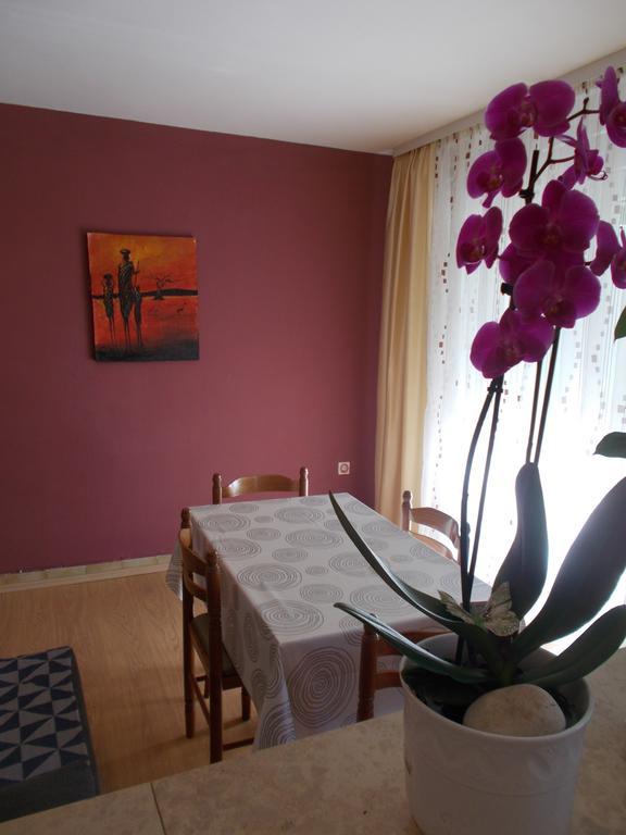 Apartments Sara Labin  Dış mekan fotoğraf