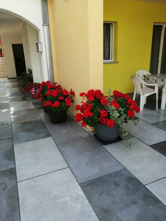 Apartments Sara Labin  Dış mekan fotoğraf